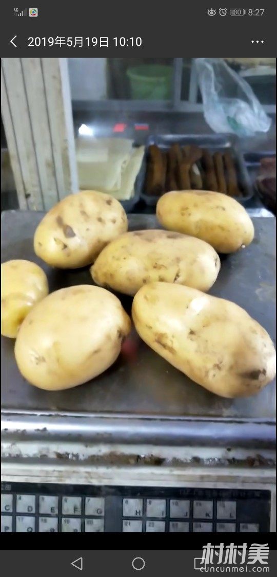 自己的种200亩地新鲜土豆
