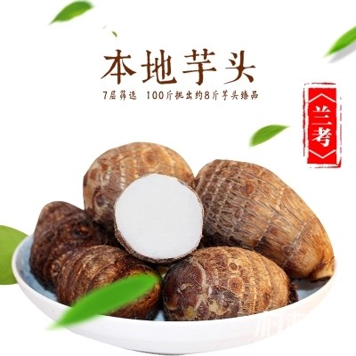 河南兰考特产新鲜毛芋头5斤 精品大芋头山芋农家自种营养青芋包邮