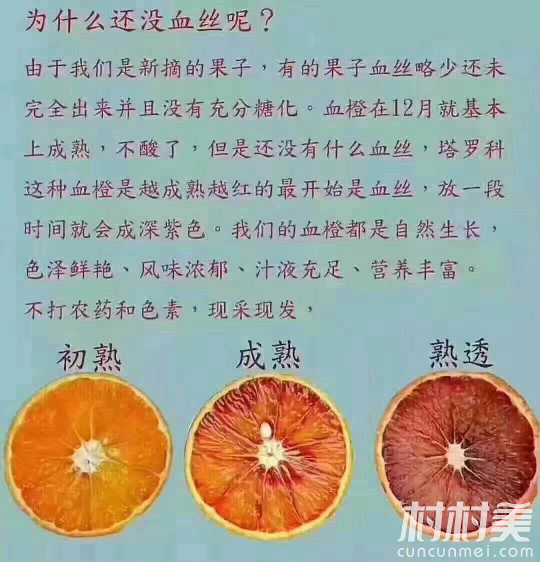 适宜:胸隔满闷,恶心欲吐,高血脂者  禁忌:糖尿病患者  血橙中富含维c