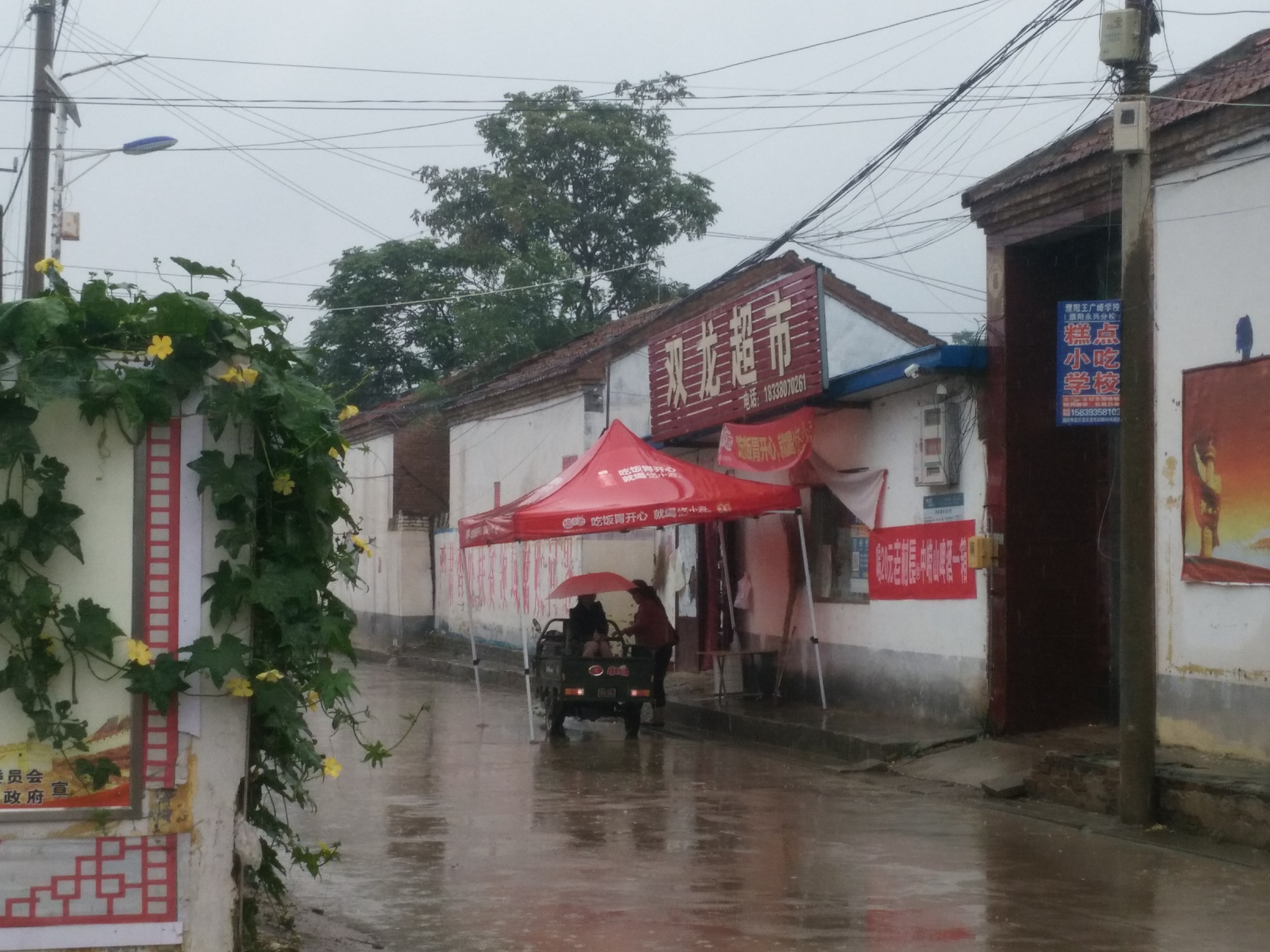 首页 焦村 焦村坐落于濮阳市濮阳县柳屯镇,毗连丰和村,华庆社区,新圩