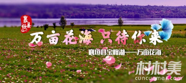 【休闲农业】襄垣县环宝峰湖——美到窒息的“万亩花海”