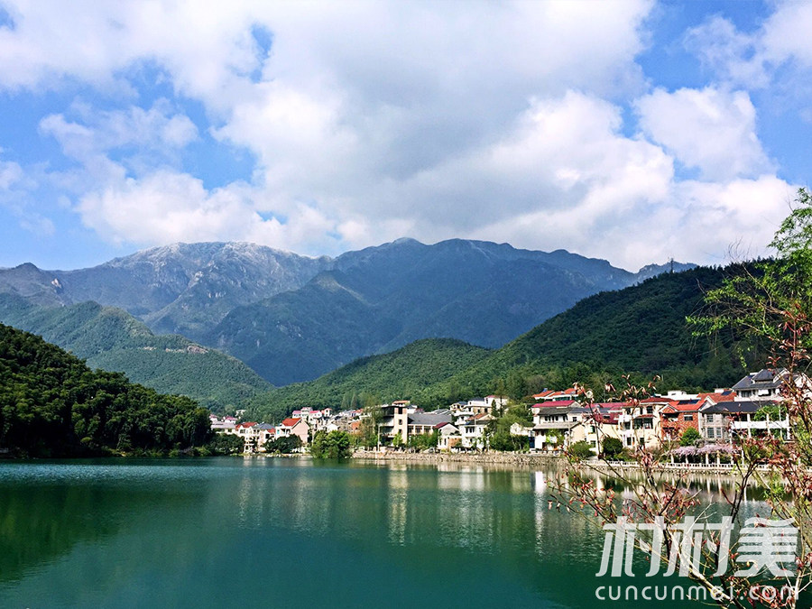 浙江安吉高家堂 竹韵茶香在山川